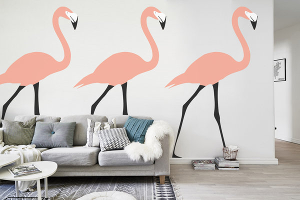 Flamingos