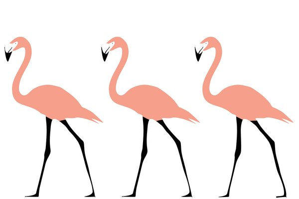 Flamingos (Dettaglio)